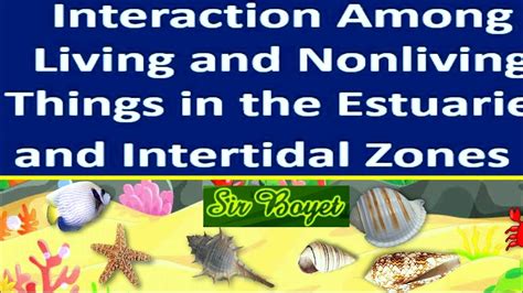 5 living and non living things found in estuaries .